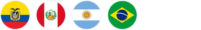 Bandera del país